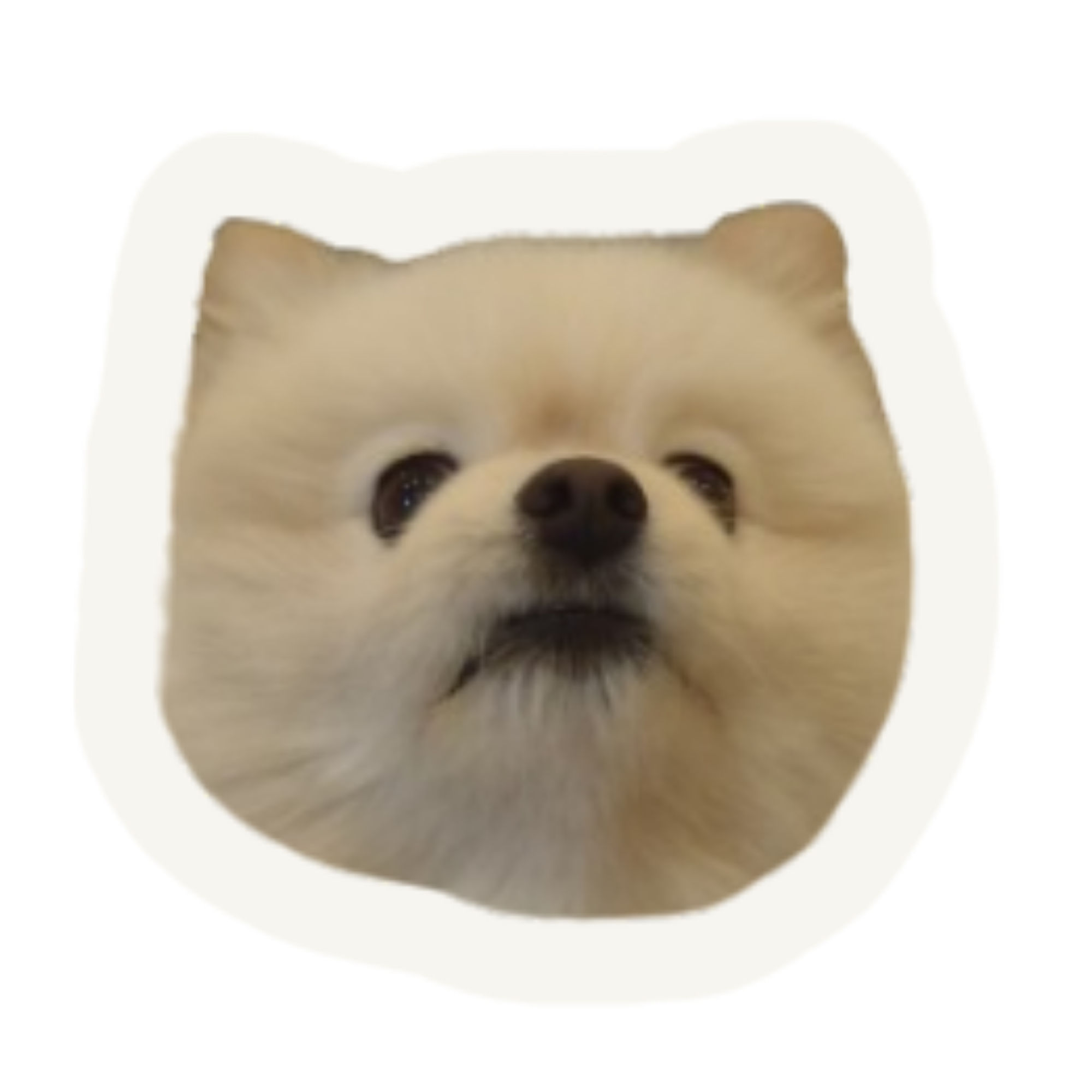 my dog, Robin
